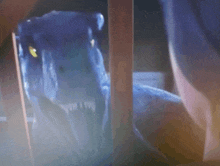 a blue dinosaur is looking at a person behind a wooden fence