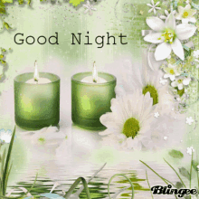 Good Night Candle GIF - Good Night Candle Flower GIFs