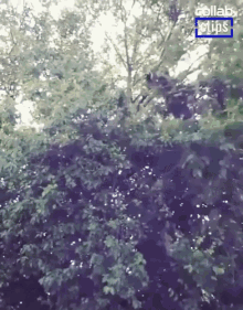 Falling Tree Jumping GIF