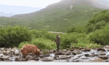 Grizzly Man GIF - Grizzly Man Werner GIFs