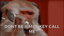 Dont Be A Monkey Call Me GIF