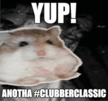 Chob Club Chobius GIF - Chob Club Chobius Chob GIFs
