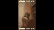 Wumpa Fruit Gfuel Bailey GIF - Wumpa Fruit Gfuel Bailey Bailey Pyne GIFs