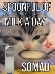 Milk Spoonful GIF - Milk Spoonful Kitten GIFs
