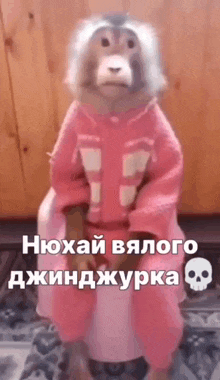 a monkey in a pink robe is sitting on a toilet with a skull on it .