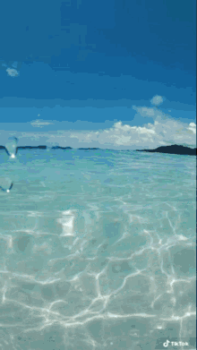 Ocean Thewaterkillsme GIF