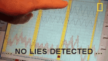 Lied No Lies Detected GIF - Lied No Lies Detected Lie Detector GIFs
