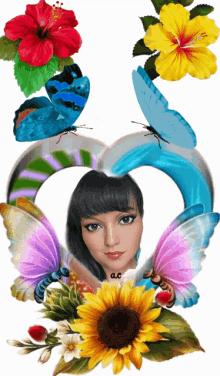 a picture of a woman surrounded by butterflies and flowers with the letter a.c on the bottom