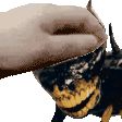 a close up of a person petting a bee with horns on a white background .