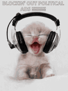 music enjoying kitten cat blocking out political ads