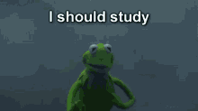 Memes Studying GIF - Memes Studying Oof GIFs