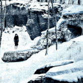 a woman in a black skirt is standing in the snow