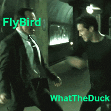 Whattheduckflybird GIF