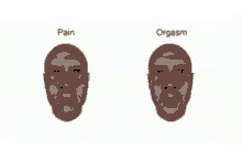 Pain Orgasm Faces GIF - Pain Orgasm Faces Cringe GIFs