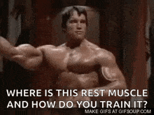 Bodybuilder Bodybuilding GIF - Bodybuilder Bodybuilding Muscles GIFs