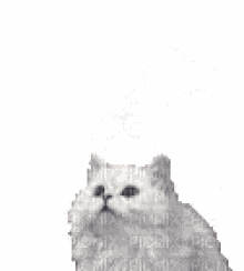 a white cat is sitting on a white surface with a blurred background .