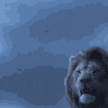 Lion Lions GIF - Lion Lions Lion King GIFs