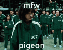 Restivepigeon GIF - Restivepigeon Pigeon GIFs
