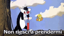 Titti Silvestro Looney Tunes Acchiappare Inseguire GIF - Tweety Bird Sylvester The Cat Looney Tunes GIFs