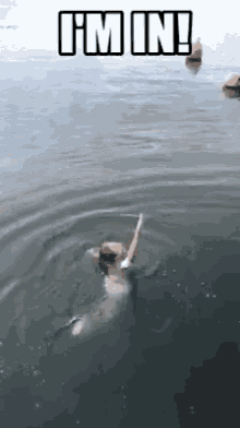 Im In Swimming GIF
