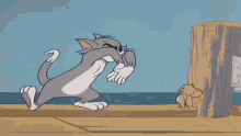 Tom And Jerry Arms Crossed GIF - Tom And Jerry Arms Crossed What Now GIFs