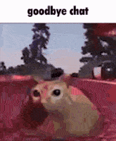 Goodbye Chat Cat GIF - Goodbye Chat Cat Silly GIFs