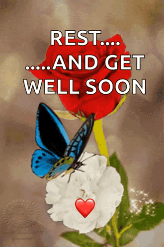 Get Well Teddy - Free animated GIF - PicMix