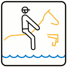 equestrian olympics