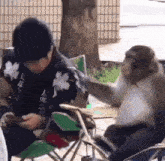 a monkey is sitting on a chair next to a man looking at his cell phone