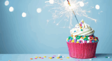 Birthday Cupcake GIF - Birthday Cupcake GIFs