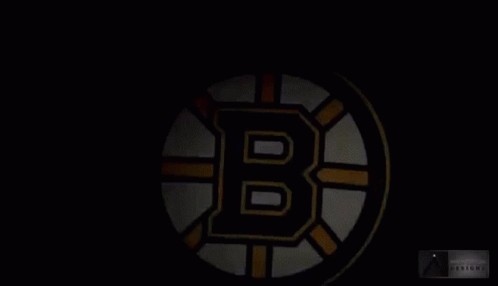 Go Bruins GIFs