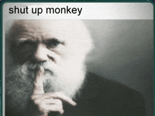 Darwin Shut Up Monkey داروين شت اب مونكي GIF