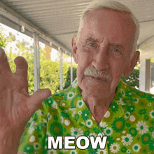 Meow Bill Lyons GIF - Meow Bill Lyons Oldgays GIFs