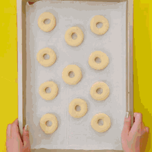 a pink plate filled with donuts and frosting on a table