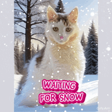 Winter Good Morning Winter GIF - Winter Good Morning Winter Winter Is Coming GIFs