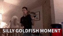 Silly Goldfish Moment Jokr Goldfish Memory GIF - Silly Goldfish Moment Jokr Goldfish Memory GIFs