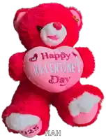 a teddy bear says happy valentine 's day on its chest