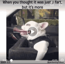 Fart Dog GIF - Fart Dog Funny GIFs