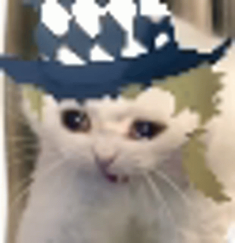 Speedwagon Katto GIF - Speedwagon Katto - Discover & Share GIFs