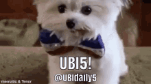 Universal Basic Income Yanggang GIF - Universal Basic Income Yanggang Ubi5 GIFs
