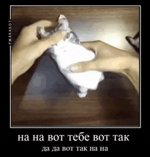 Komaru Cat GIF - Komaru Cat Komarucat GIFs