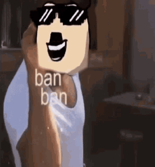 Banned Roblox Ban GIF