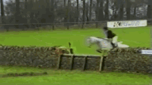Chute GIF - Horseback Riding Equestrian Horse GIFs