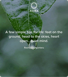 a few simple tips for life : feet on the ground , head to the skies , heart open ... quiet mind