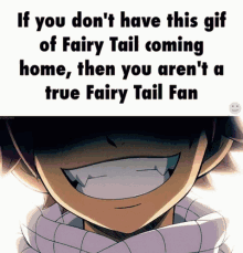 Fairytail GIF - Fairytail Fairy Tail GIFs