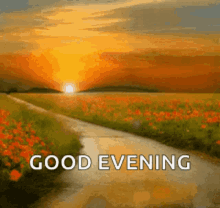 Good Evening Rollygifs GIF - Good Evening Rollygifs Blessed Evening GIFs