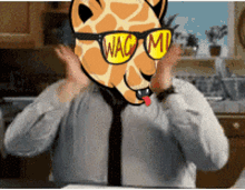 Pohui Wagmi GIF - Pohui Wagmi Pohui Panthers GIFs