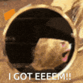 a hamster is looking through a hole in a mirror and says i got eeeem