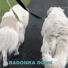 Walking My Baby Back Home Great Pyrenees Mountain Dog GIF - Walking My Baby Back Home Great Pyrenees Mountain Dog Walk The Dogs GIFs