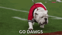 Georgiabulldogs Mascot GIF - Georgiabulldogs Mascot Bulldog GIFs